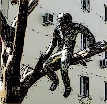 Не пили Сук…