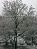 Перше березня