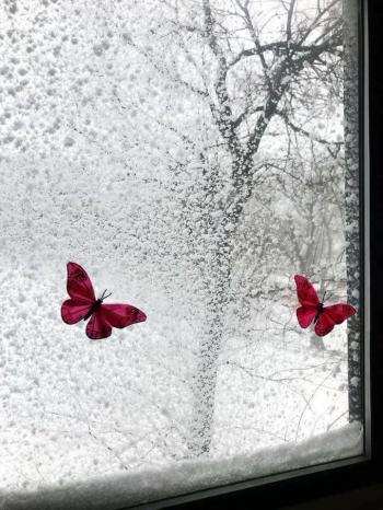 Весна під снігом...