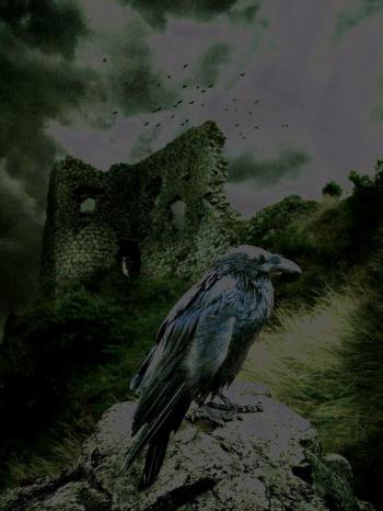 В драговині