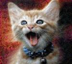 У Казковому Лісі