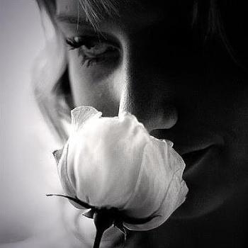 Цілунок квітки