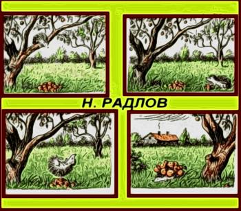 Раціоналізація