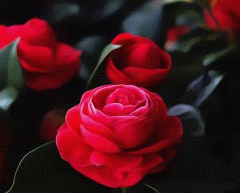 Світле Свято