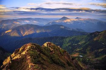 Я у мріях ловив тінь,  що в небо відходить…
