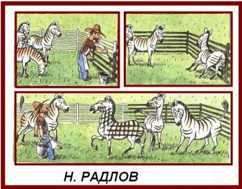 Зебри смугасті