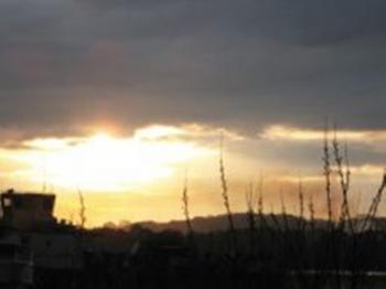 Драконяче насіння