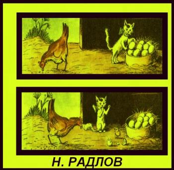 Звідки Курча?