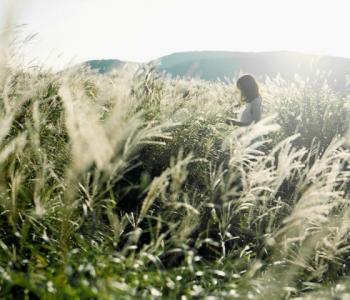 Випросити у Долі