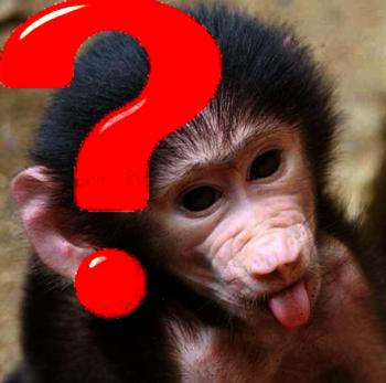 Розумні та Красиві