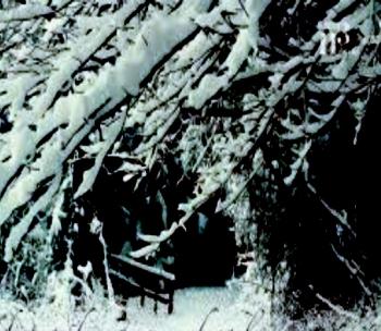 Весняний Трунок