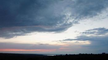 Птахи і люди