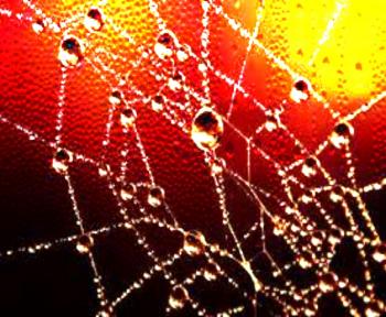 Між крапельками