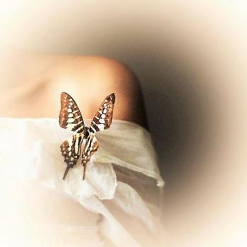 Ой літо - літечко...