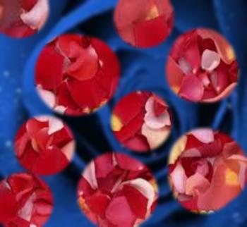 Пелюстки на льоду