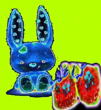 Зайченя та Полуниця