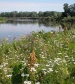 Перехрестя УКРАЇНА