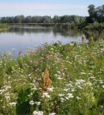 Перехрестя УКРАЇНА