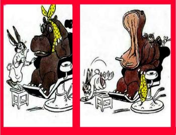 Заєць — Стоматолог