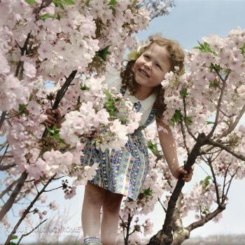 Жасмини карамельні