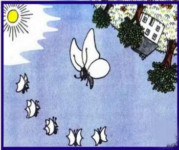 Танці — Манці