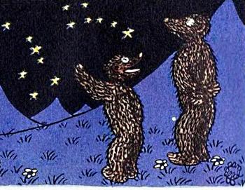 Дві Ведмедиці