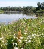 Перевернувся білий світ...