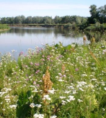 &laquo;Перевернувся білий світ...&raquo;