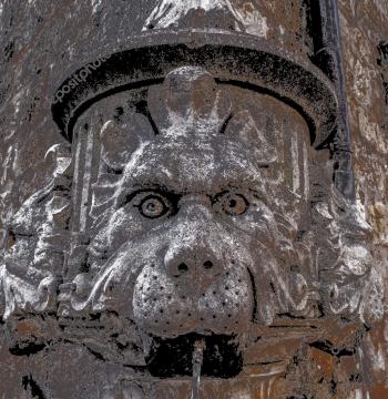 Про Шакалів