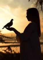 Нема далеких...