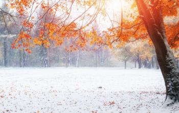 Перший сніг