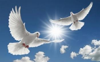 Молюсь і вірю