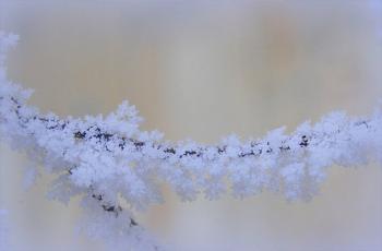 Зимовий етюд