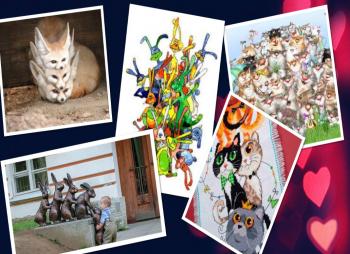 Купа Чимала