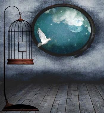 У гральному полі