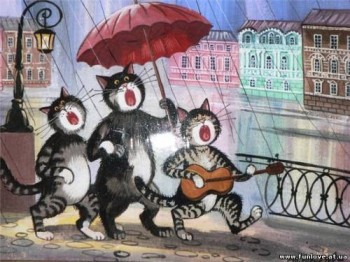 Котячий хор