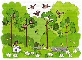 Відломлена гілка