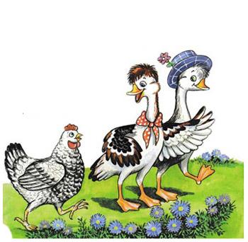 Чому гуси миються у воді, коти – на печі, а кури порпаються в поросі