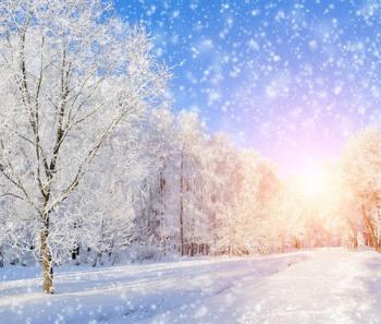 Сніжок трясе