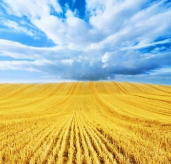 Тиха елегія