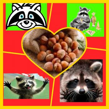 Єнот і Горішки