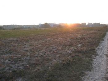 &laquo;ЖИВИ,  ВКРАЇНО ЗОЛОТА!&raquo;