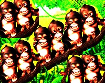 Чи Вміють Мавпи Говорити