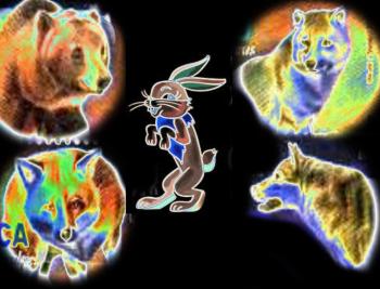 Що було в Середу