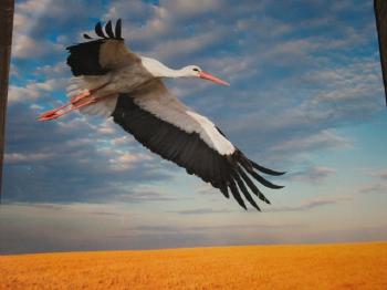 Зимовий ранок,  зимовий день...