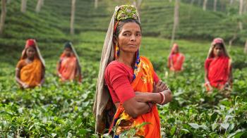 Для щастя краще буть простим...