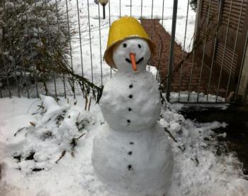 Неістотний