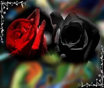 Сум Кохання