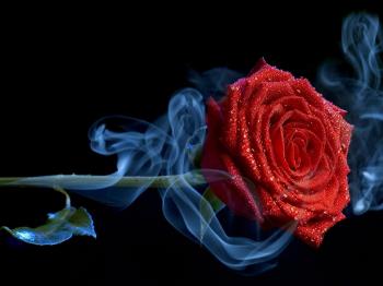 Ненаписані в віршах