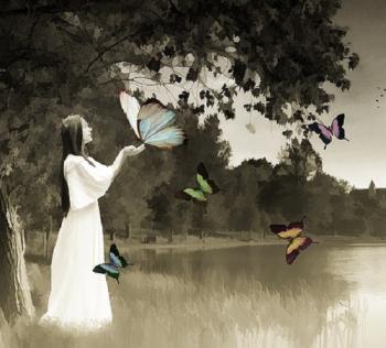 Ми метелики